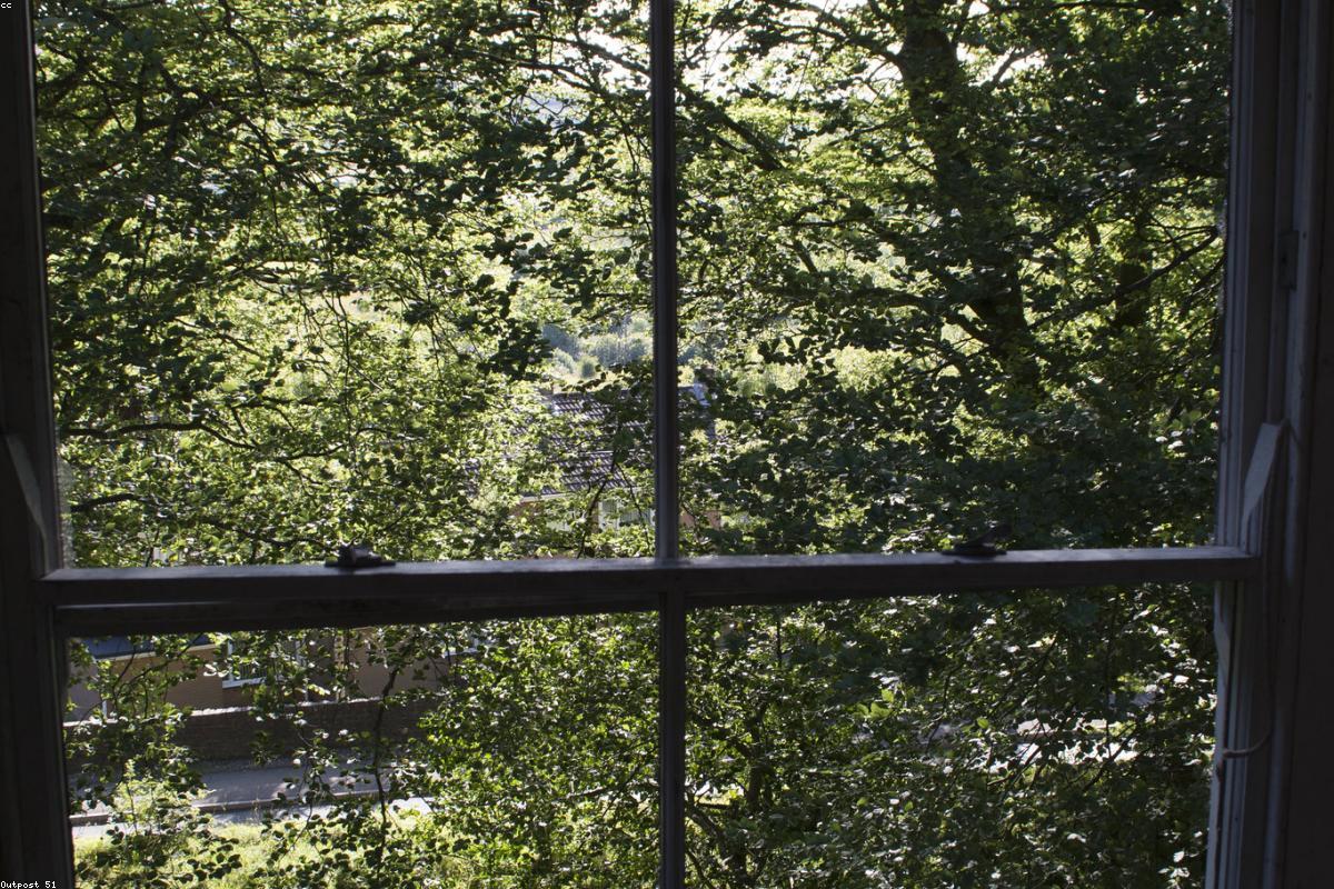 Escalier en bois massif sur mesure réalisé par Menuiserie Kessler à Strasbourg
